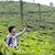 Girish HR's profile image