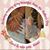 Lill Snow Ditton's profile image