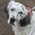 Karen Brigham Strohmeyer's profile image