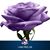 Kathy Barbara's profile image
