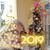 Anne Cristina Denoux de Bracamonte's profile image