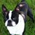 Patricia Medeiros's profile image