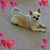 Diane Broeske's profile image