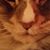 Kitt Childers's profile image