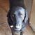 Desiree Cilenti's profile image