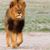 Robel Habte's profile image