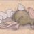 David Toth's profile image