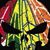 Christopher Reinwald's profile image