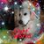 Elaine Pepin's profile image