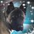 Juan Nasiff's profile image