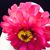 Lisa Stokes's profile image