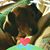Laurie Hoey's profile image