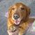 Kandess Casiano's profile image