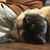 Liz Norwood Sundeen's profile image
