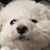 Carol Kemper's profile image