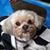 Gary Mitchell's profile image