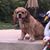 Suzana Stefanovska's profile image