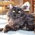 Christine Arbet's profile image