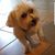 Judy Carlson's profile image