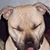 Nicole Djordjevich's profile image