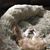 Tracy Rinnert's profile image