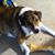 Jennifer Schuman's profile image