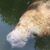 Cathie Nagorski's profile image