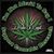 Amanda Adkins-Matlock Straub's profile image