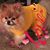 Cindy Hyde's profile image