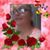 Melody Martinez's profile image