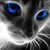 Lynne Grange's profile image