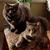 Lucy Mastalinski's profile image