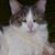 Nathan Eklund's profile image