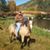 Jeff Jones's profile image