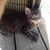 Melissa J Briscoe's profile image
