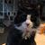 Angelique Slovik's profile image