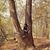Melissa Anglemyer's profile image