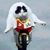 Peter Santini's profile image