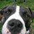 Glynis Dixon's profile image
