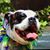 Sharon Yrizarry's profile image