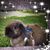 Kristy Middleton's profile image