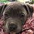 Tina Helmer's profile image