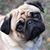 Mary Borland's profile image