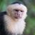 Scott Aldinger's profile image