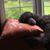 Jacqueline Mann's profile image