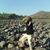 Agustin Ramirez Alarcon's profile image