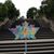 Adam Joseph Gage's profile image