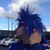 Jeremiah Buckles's profile image