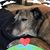 Sandy Shaw's profile image