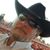 Jim Hansen's profile image